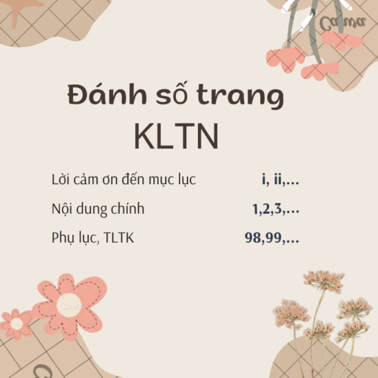 Cách đánh số trang đúng chuẩn trong khoá luận tốt nghiệp