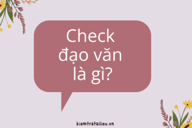 Check Đạo Văn Là Gì? Giải pháp cho liêm chính học thuật